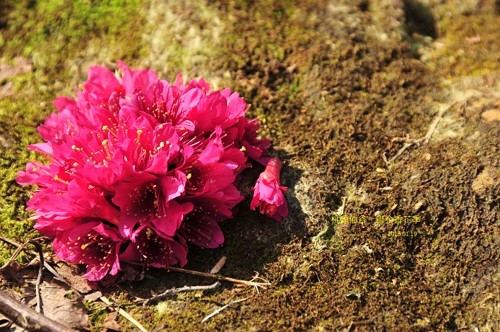 DSC_5689 DSC_5689