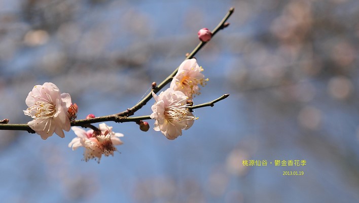 DSC_5774 DSC_5774