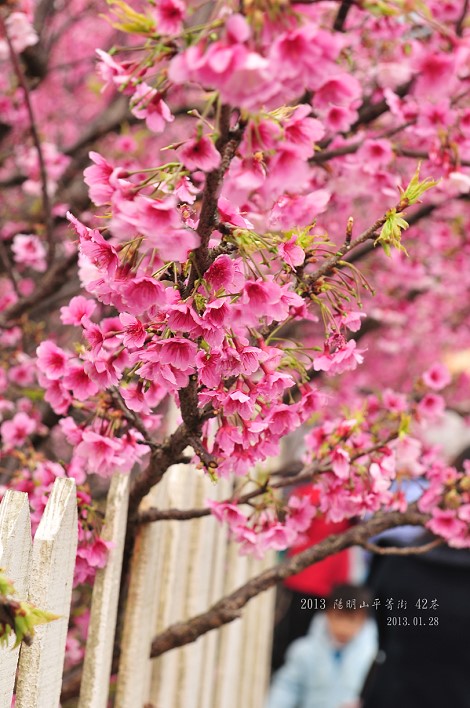 DSC_6164 DSC_6164