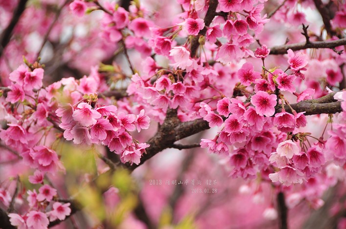 DSC_6173 DSC_6173