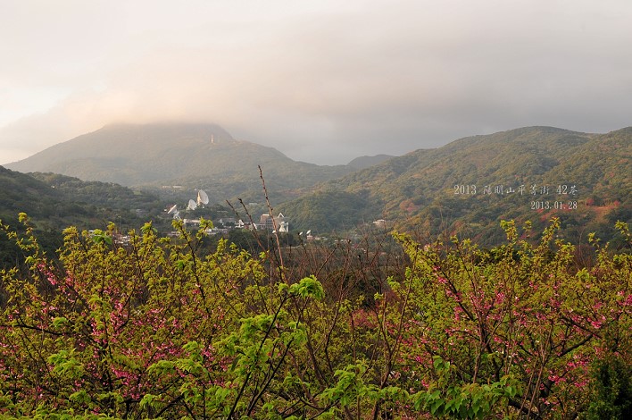 DSC_6236 DSC_6236