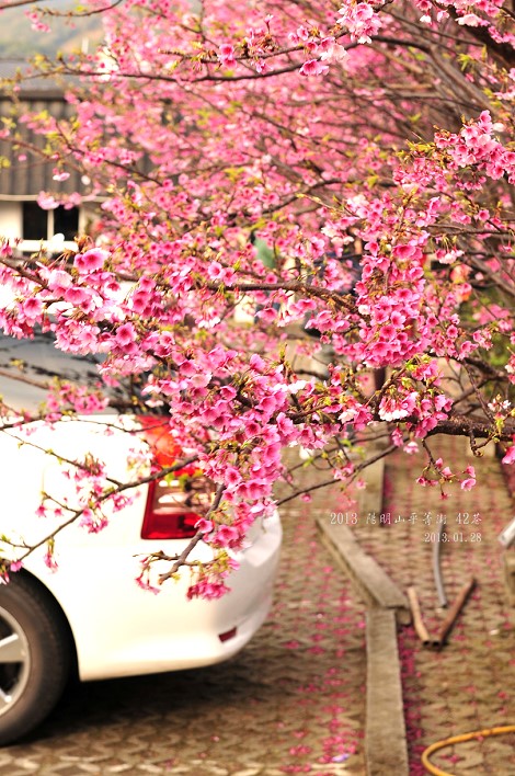 DSC_6241 DSC_6241