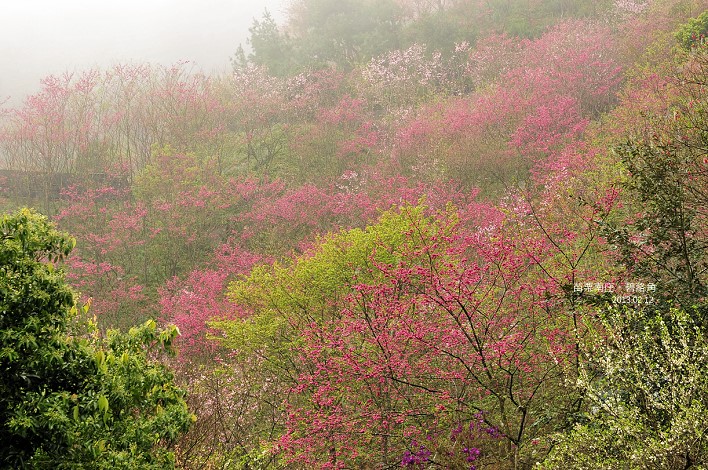 DSC_6565 DSC_6565
