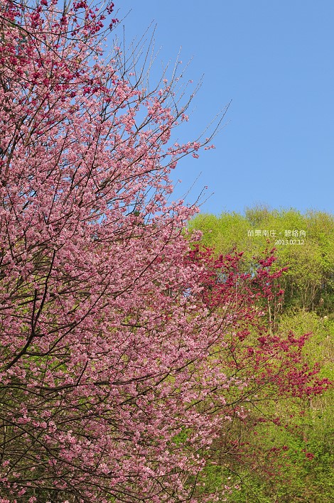 DSC_6605 DSC_6605