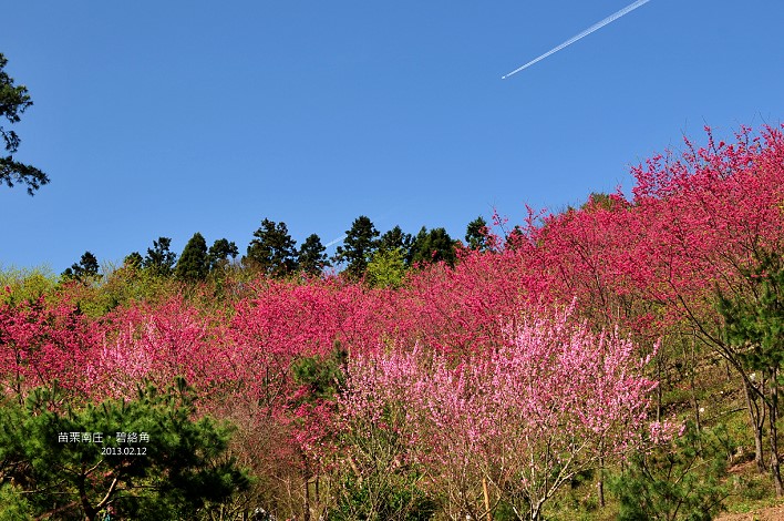 DSC_6691 DSC_6691