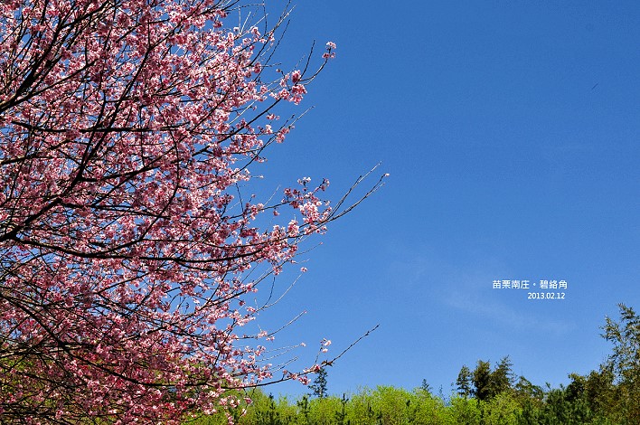 DSC_6716 DSC_6716