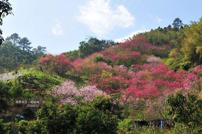 DSC_6748 DSC_6748