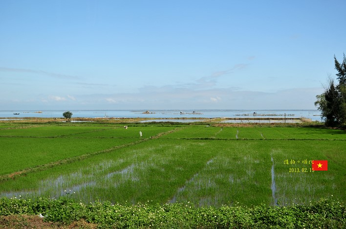 DSC_7359 DSC_7359