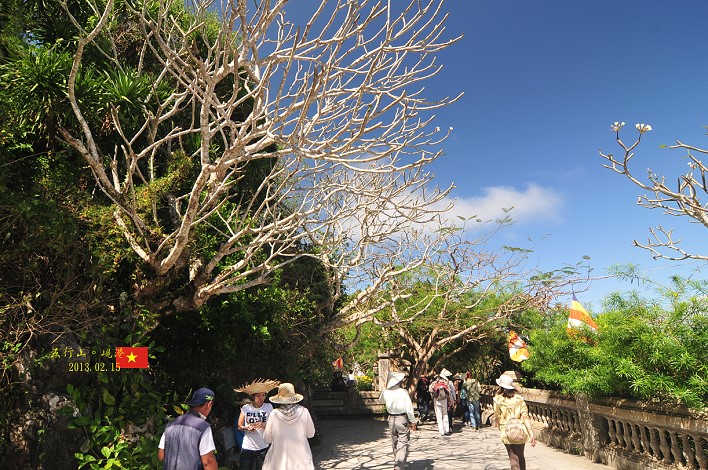 DSC_7507 DSC_7507