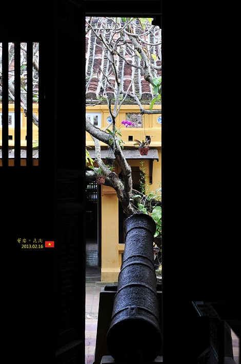 DSC_7950 DSC_7950