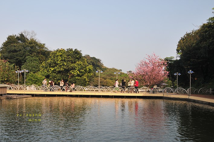 DSC_8823 DSC_8823