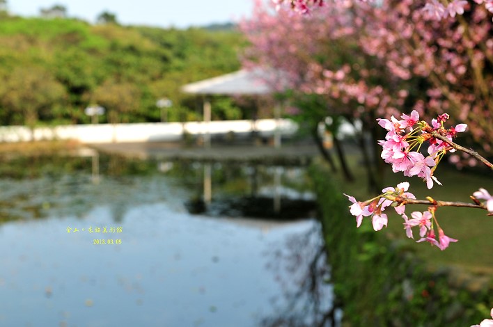 DSC_8830 DSC_8830