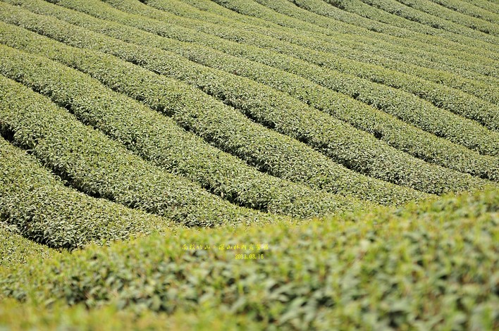 DSC_8994 DSC_8994