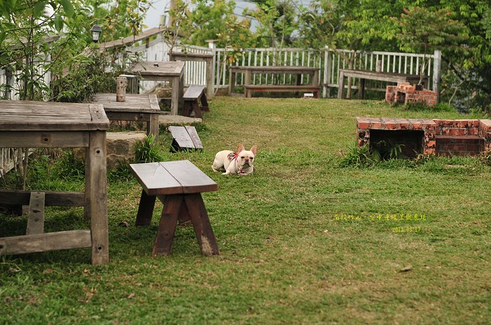 DSC_9239 DSC_9239