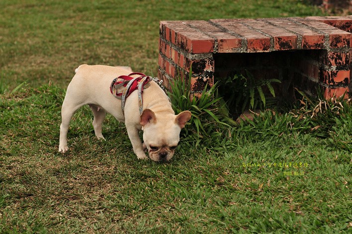 DSC_9241 DSC_9241