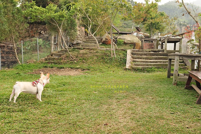 DSC_9247 DSC_9247