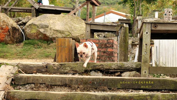 DSC_9262 DSC_9262
