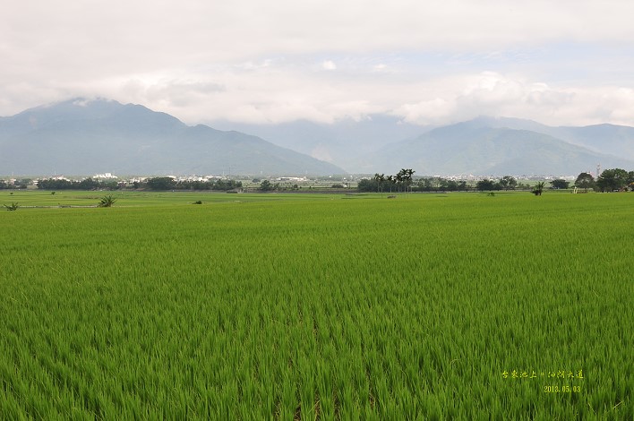 DSC_0736 DSC_0736