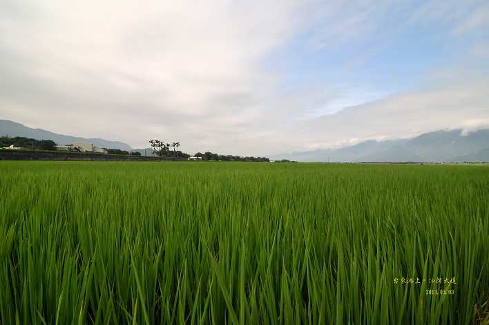 DSC_0757 DSC_0757
