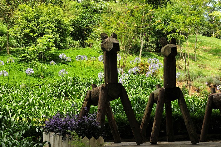 DSC_0898 DSC_0898