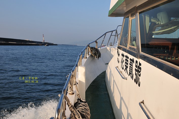 DSC_1307 DSC_1307