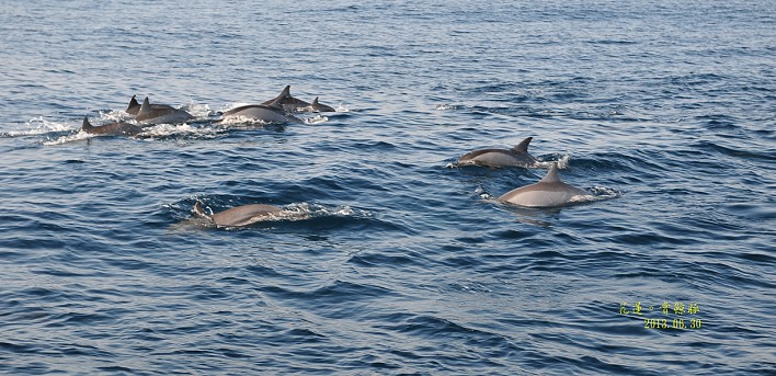 DSC_1377 DSC_1377