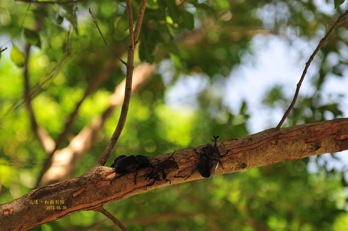 DSC_1457 DSC_1457