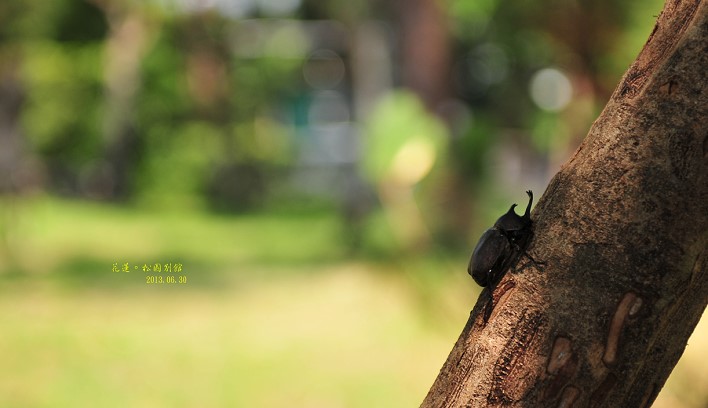 DSC_1458 DSC_1458