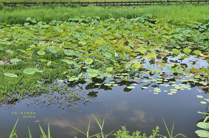 DSC_1669 DSC_1669