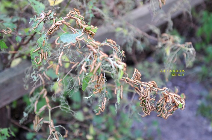 DSC_1695 DSC_1695