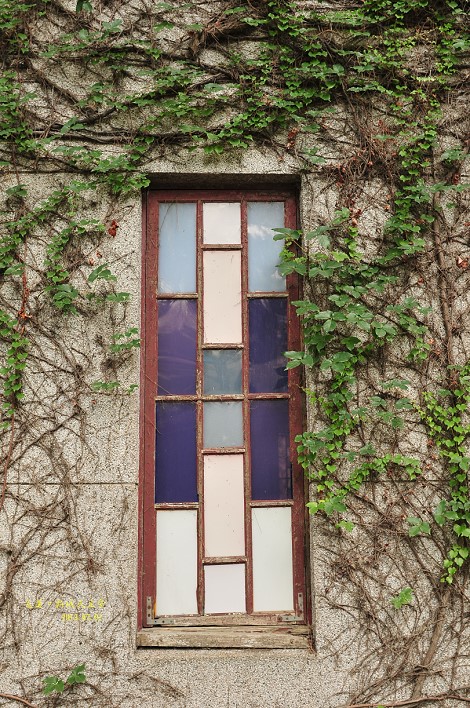 DSC_1979 DSC_1979