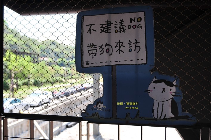 DSC_3413 DSC_3413