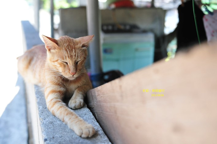 DSC_3437 DSC_3437