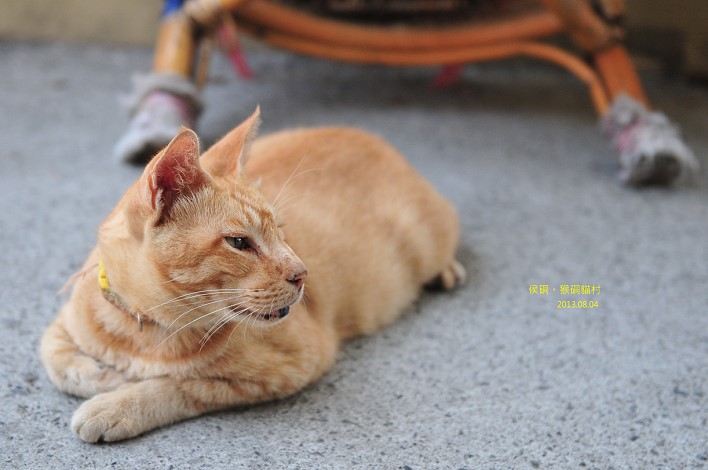 DSC_3448 DSC_3448