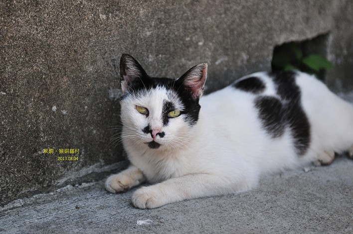 DSC_3450 DSC_3450