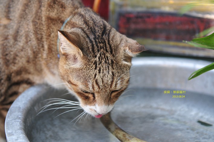 DSC_3482 DSC_3482
