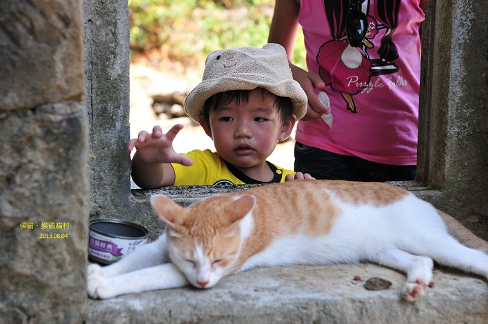 DSC_3498 DSC_3498