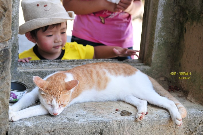 DSC_3500 DSC_3500