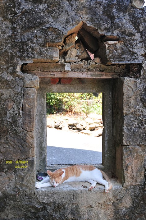 DSC_3503 DSC_3503