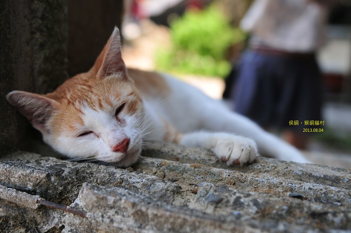 DSC_3519 DSC_3519