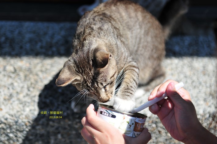 DSC_3547 DSC_3547