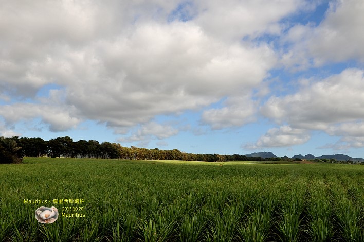 DSC_5872 DSC_5872