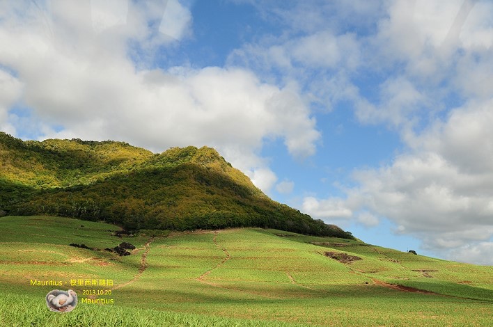 DSC_5884 DSC_5884