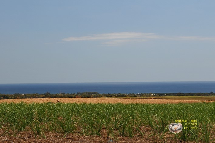 DSC_6782 DSC_6782