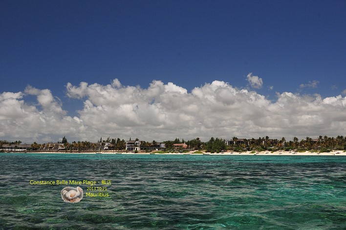 DSC_6593 DSC_6593