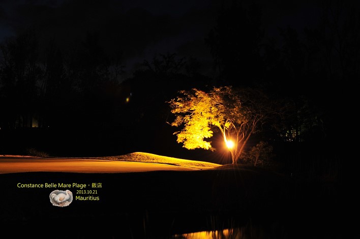 DSC_6618 DSC_6618