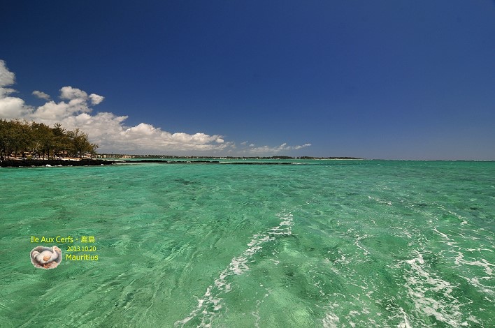 DSC_6237 DSC_6237