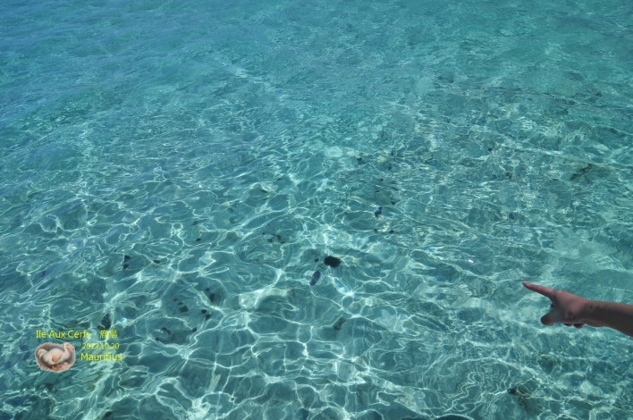 DSC_6365 DSC_6365