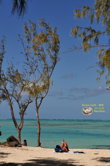 DSC_6464 DSC_6464