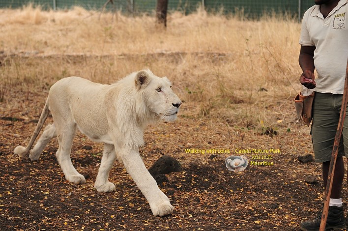DSC_6803 DSC_6803